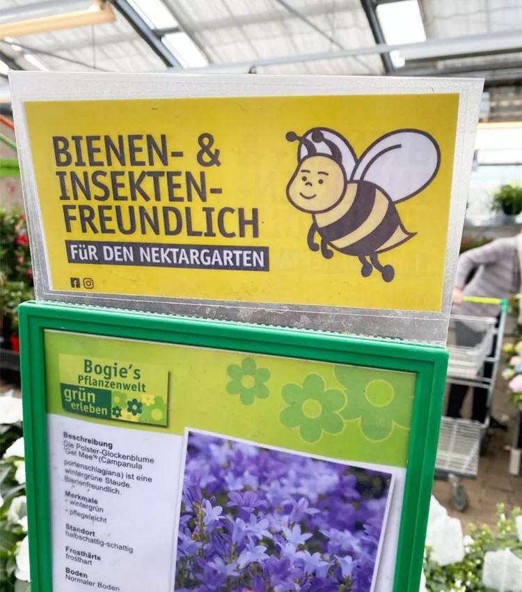 Bienenfreundliche Pflanzen