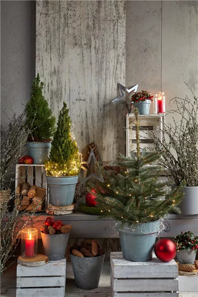 Lichterketten – funkelnde Dekoration für Weihnachten - [LIVING AT HOME]