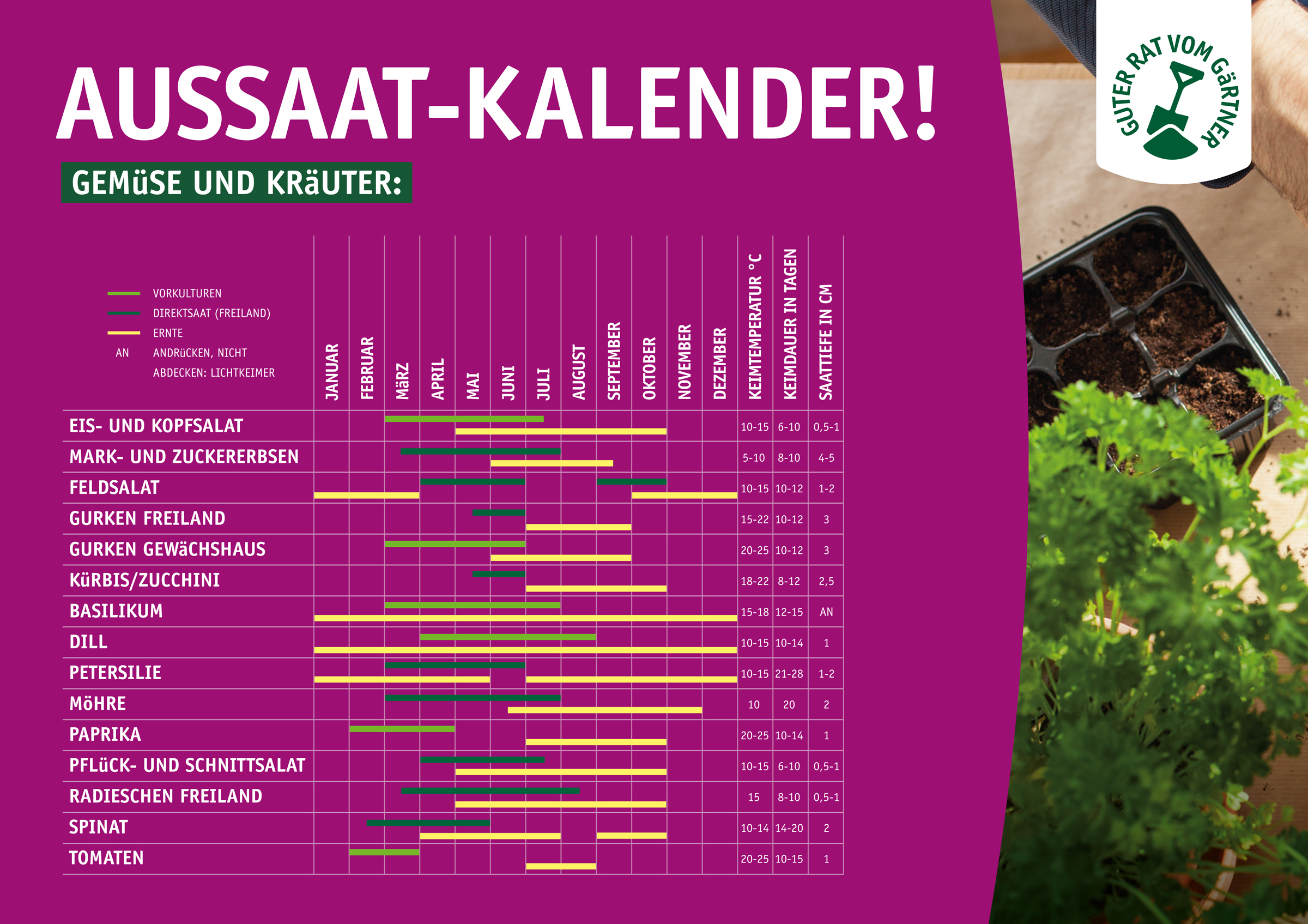 Aussaatkalender Gemüse Aussaat Kalender Zum Ausdrucken Aussaat & Anzucht