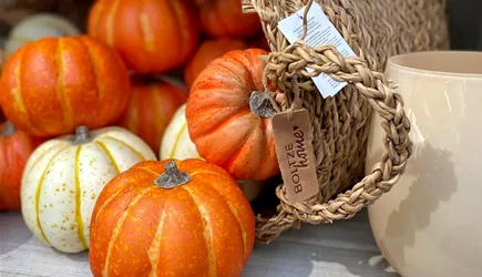 Deko & Accessoires Deko & Accessoires