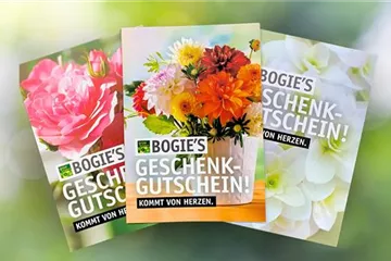 Geschenkgutschein Geschenkgutschein