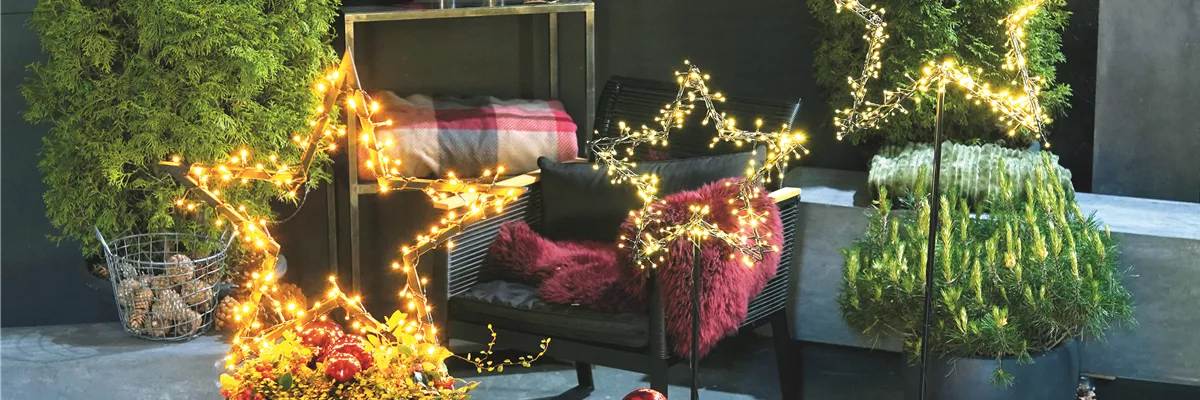 LICHTBLICKE IM WINTER-GARTEN!