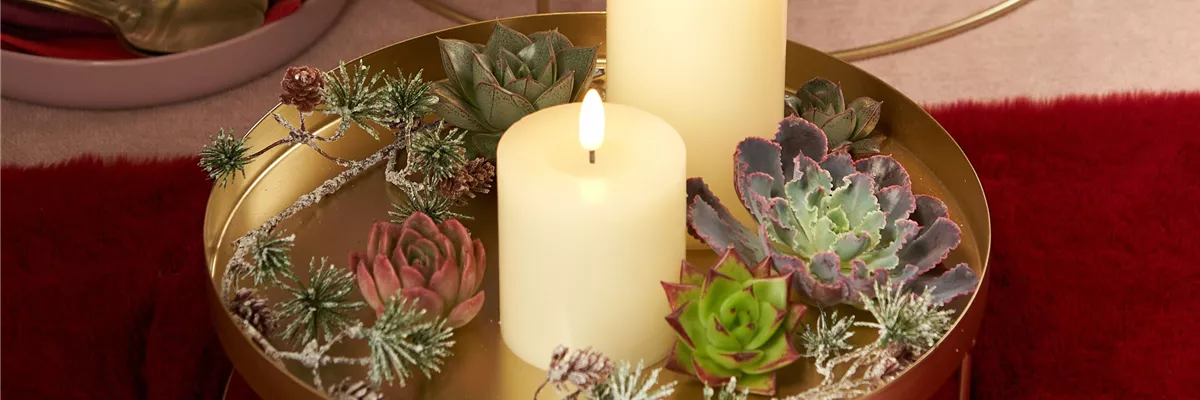 IM GLANZ DER ELEGANZ!