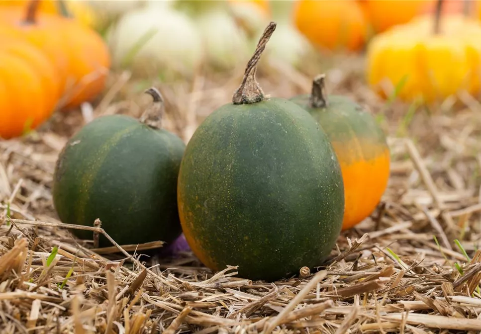 STILVOLL INS RECHTE LICHT GERüCKT! STILVOLL INS RECHTE LICHT GERüCKT!
