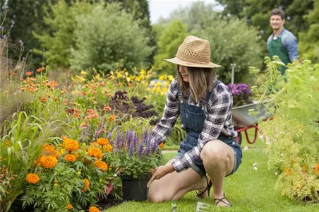 JETZT ZUM SPATEN GREIFEN