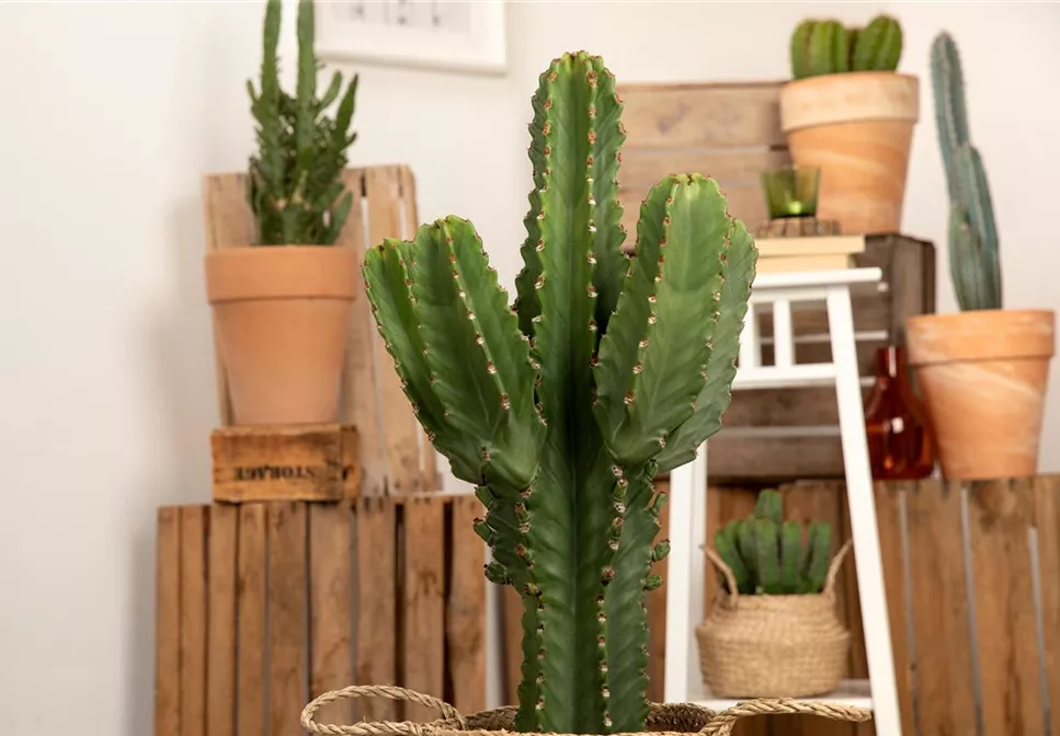 WIE GEHT... RAUMKLIMA? WIE GEHT... RAUMKLIMA?