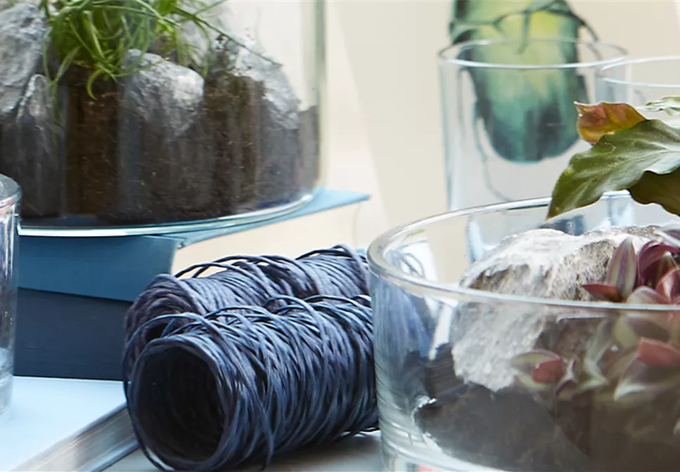 MICRO LIVING MICRO LIVING