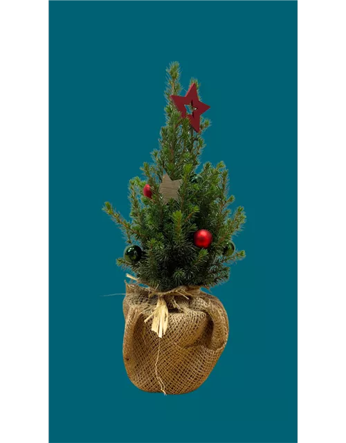 Kinder-Workshop: Weihnachtsbaum dekorieren
