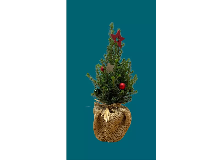 Kinder-Workshop: Weihnachtsbaum dekorieren
