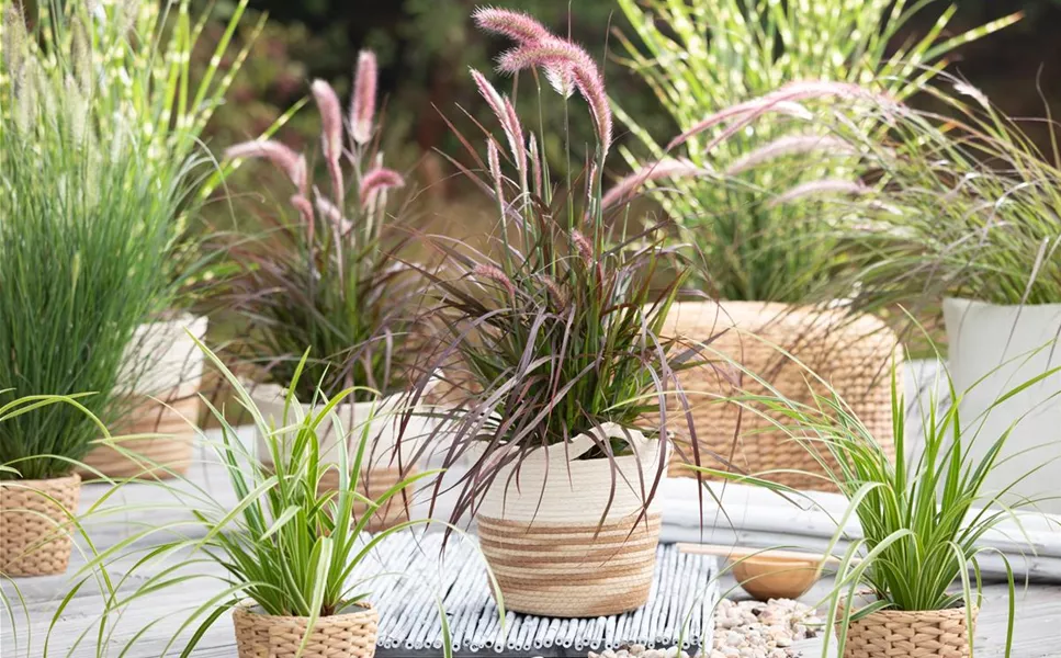 Aussen - Pflanzgefäße für den Garten! Aussen - Pflanzgefäße für den Garten!