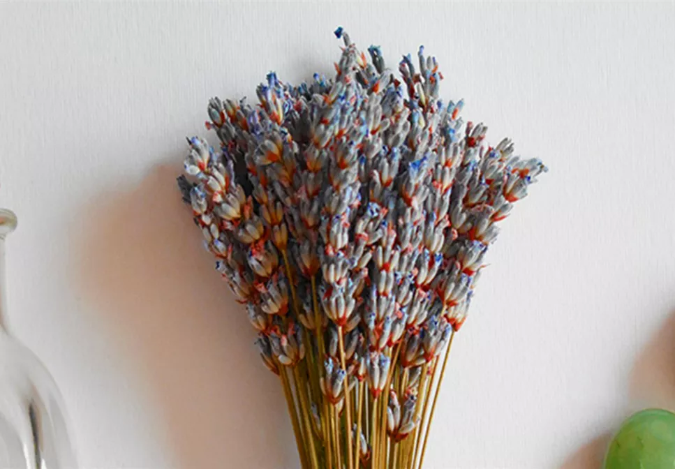 TROCKENBLUMEN! TROCKENBLUMEN!