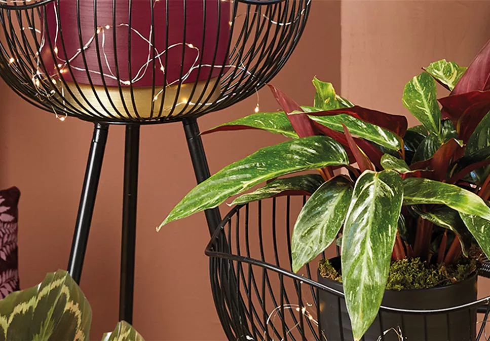 GOLDEN TOUCH!  GOLDEN TOUCH!