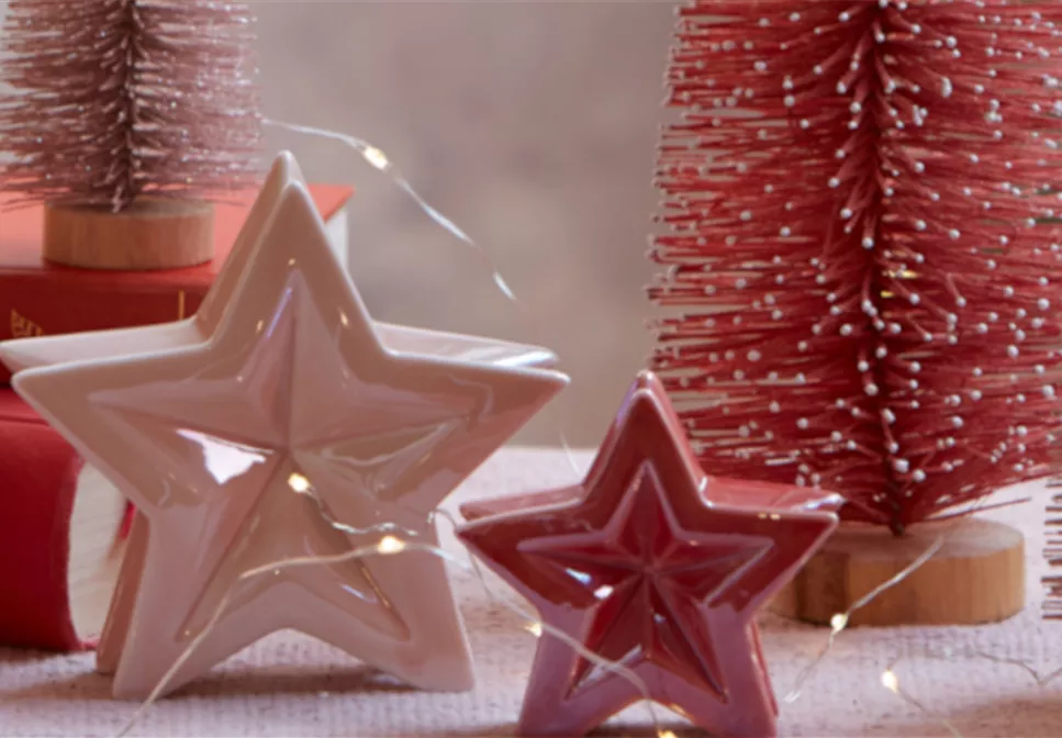 WEIHNACHTSTREND „STELLA“ WEIHNACHTSTREND „STELLA“