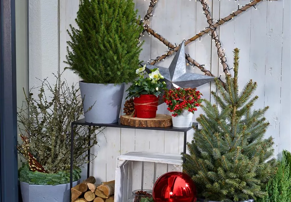 TO-DO's IM DEZEMBER TO-DO's IM DEZEMBER