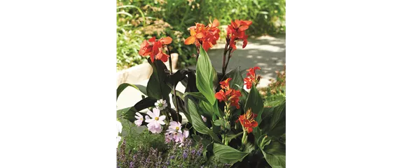 SO SCHöN BLüHT ES IM BEET! 