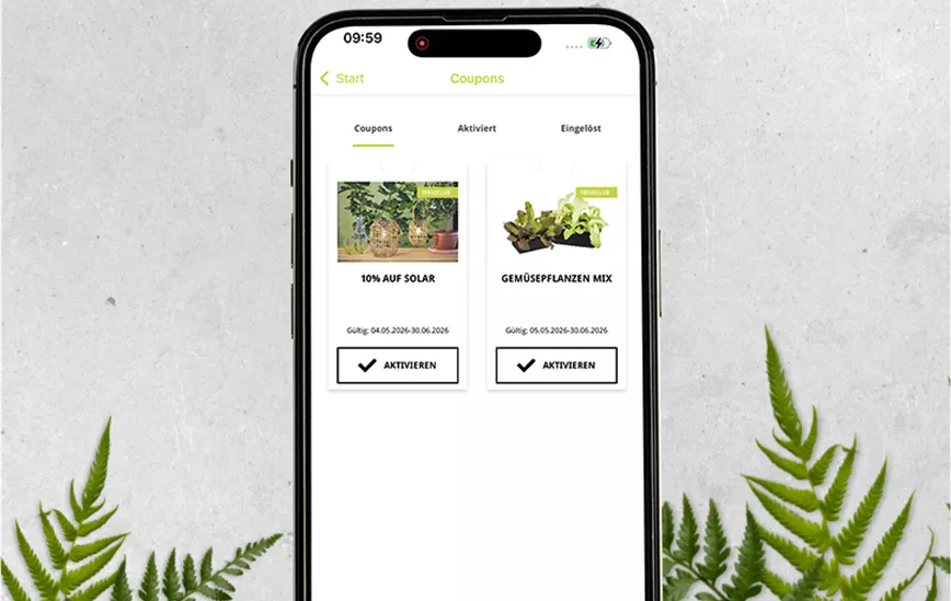 Hintergrund_Mockup_Coupons.png