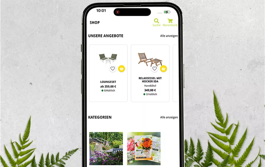 Hintergrund_Mockup_Shop.png