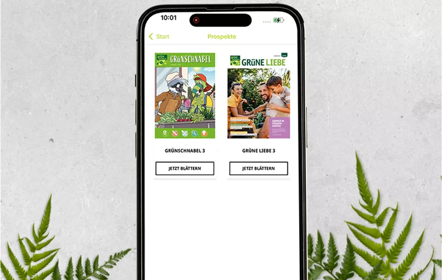 Hintergrund_Mockup_Prospekte.png