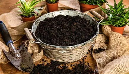 Erden & Dünger  Erden & Dünger