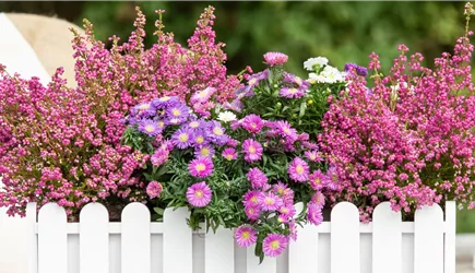 Balkon & Garten