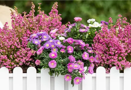 Balkon & Garten