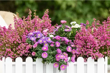Balkon & Garten