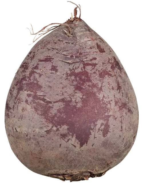 Rote Beete