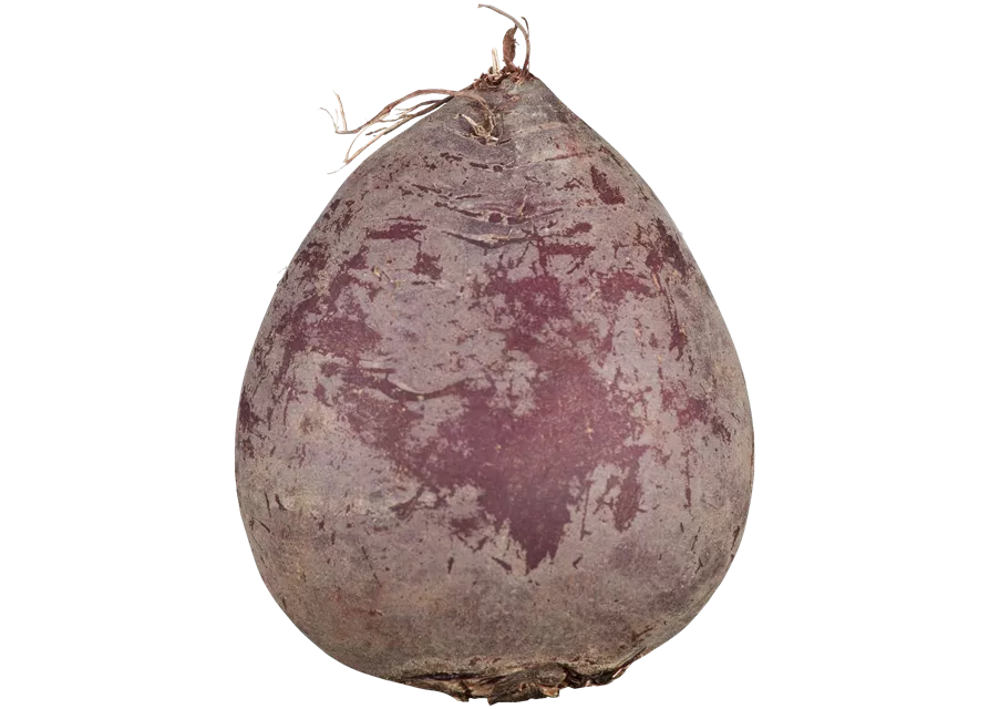 Rote Beete