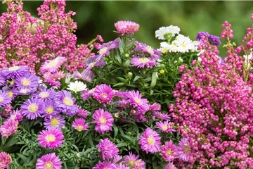 Balkon & Garten