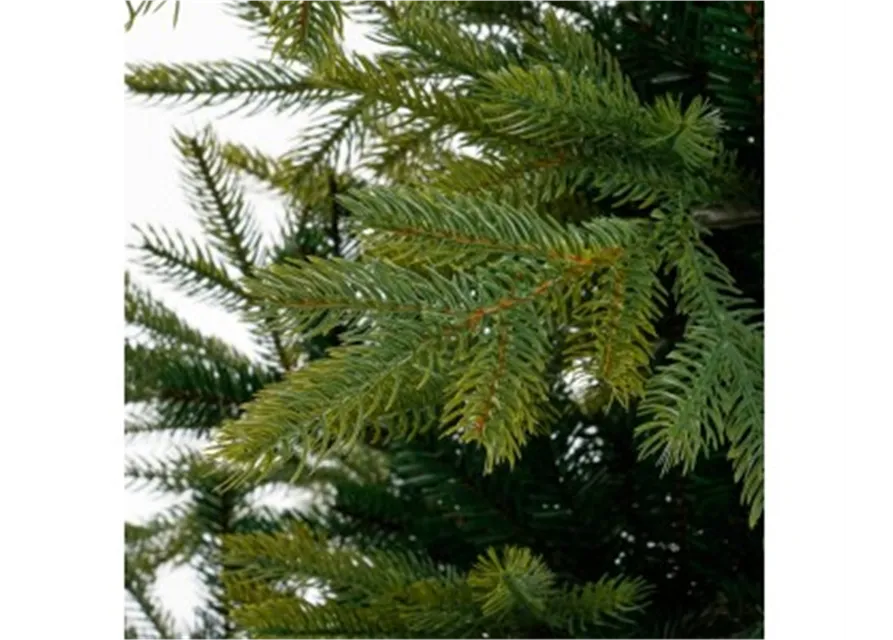 Grimshaw Weihnachtsbaum