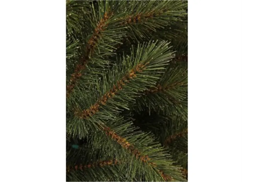 Toronto Weihnachtsbaum