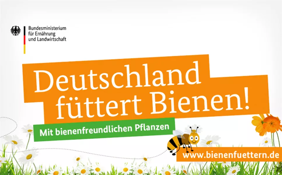 INITIATIVE - BIENEN FÜTTERN INITIATIVE - BIENEN FÜTTERN