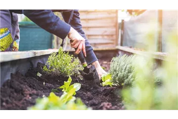 EIN HOCH AUF'S HOCHBEET! 