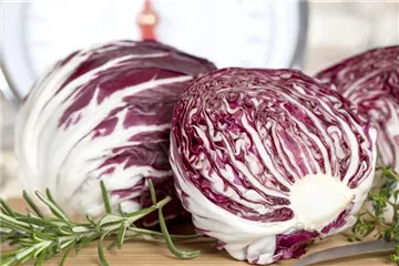 HERBSTSALATE HERBSTSALATE