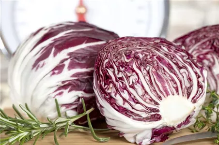 HERBSTSALATE HERBSTSALATE