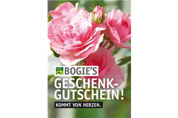 Versand-Gutschein Versand-Gutschein