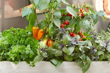 Für Selbstversorger