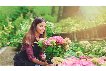 DIE SCHöNSTEN HORTENSIEN & BEGLEITER.