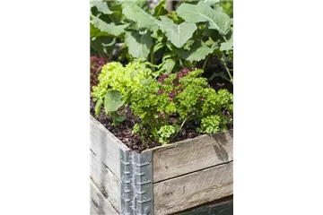 DAS DIY-HOCHBEET! DAS DIY-HOCHBEET!