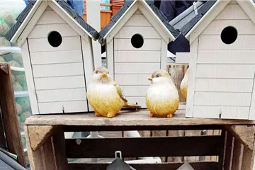 Vogelhäuser & -futter