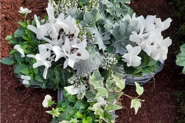 Grabschmuck Grabschmuck