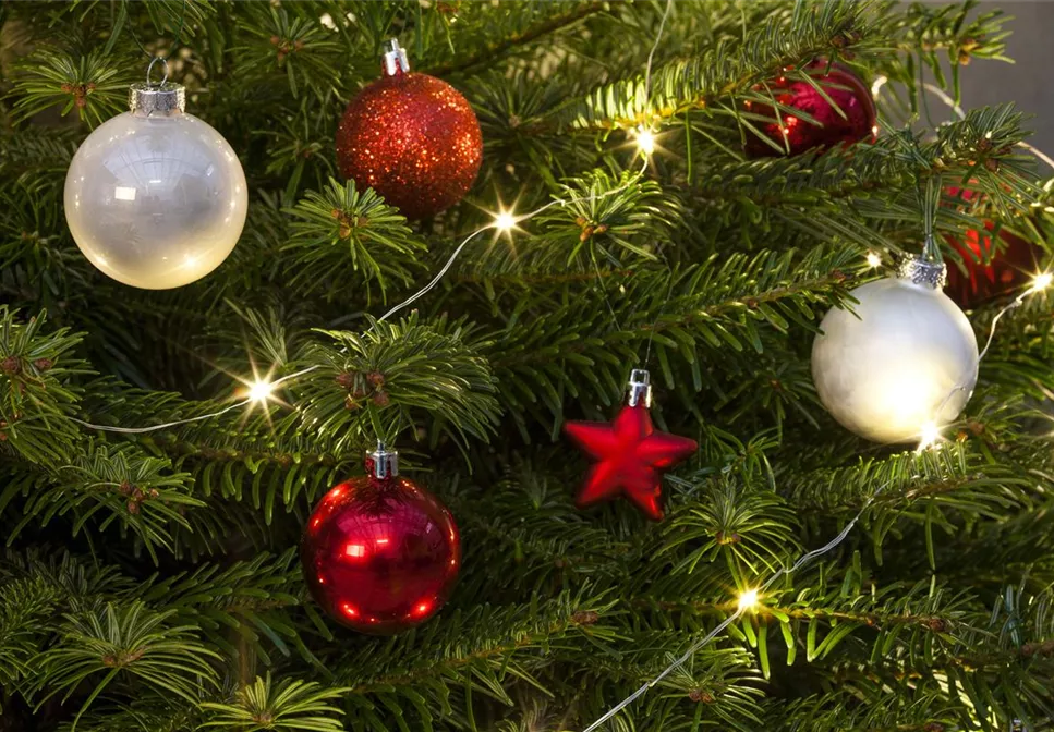 WIE GEHT... BAUMBELEUCHTUNG? WIE GEHT... BAUMBELEUCHTUNG?