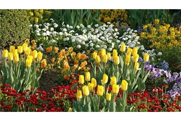 Eine Tüte voll Frühling