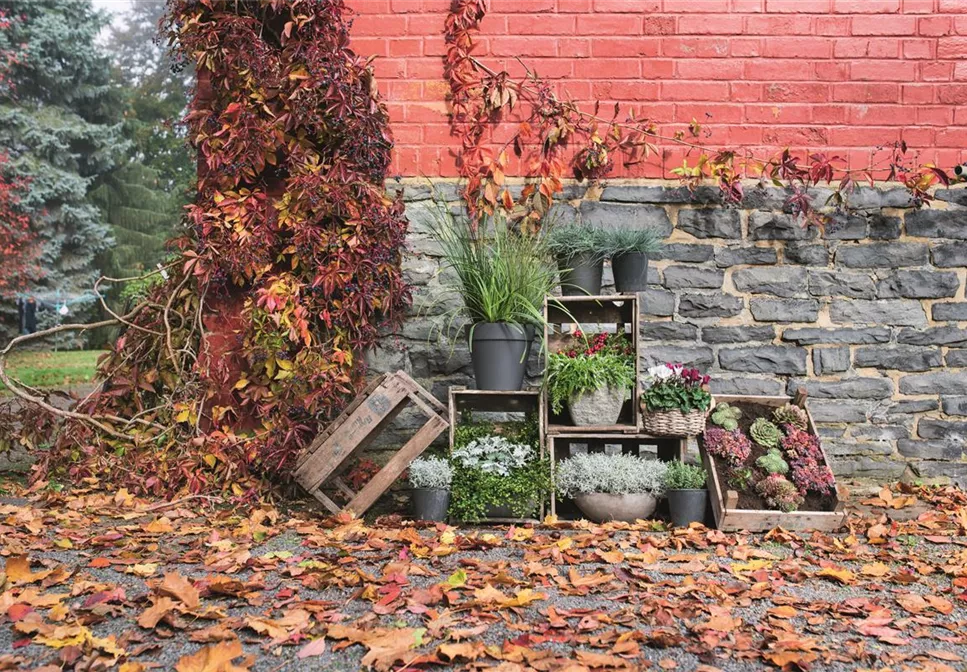 WIR SIND FEUER & FLAMME!  WIR SIND FEUER & FLAMME!