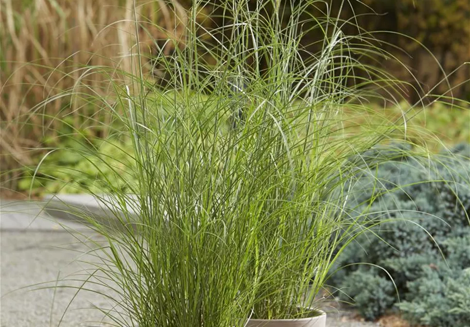 DER HERBST STEHT VOR DER TÜR!  DER HERBST STEHT VOR DER TÜR!